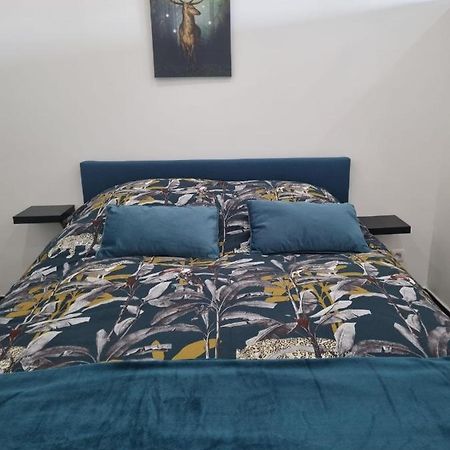 Appartement Les Mirabelles à Metz Extérieur photo